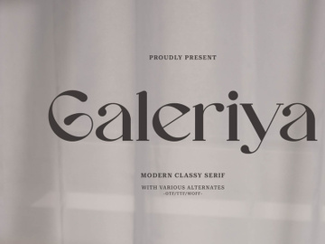 Galeriya | Modern Serif preview picture