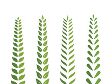 Logos of green Tree leaf ecology