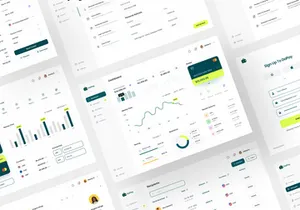 DayPay - Fintech Dashboard UI KIT