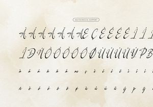 Logically Signature | Elegant Signature