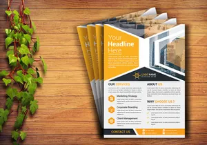 Professional Flyer Design Template