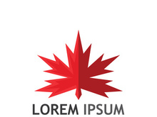 Maple leaf logo design with creative idea