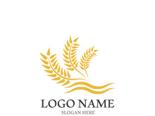 Wheat logo vector icon illustration design