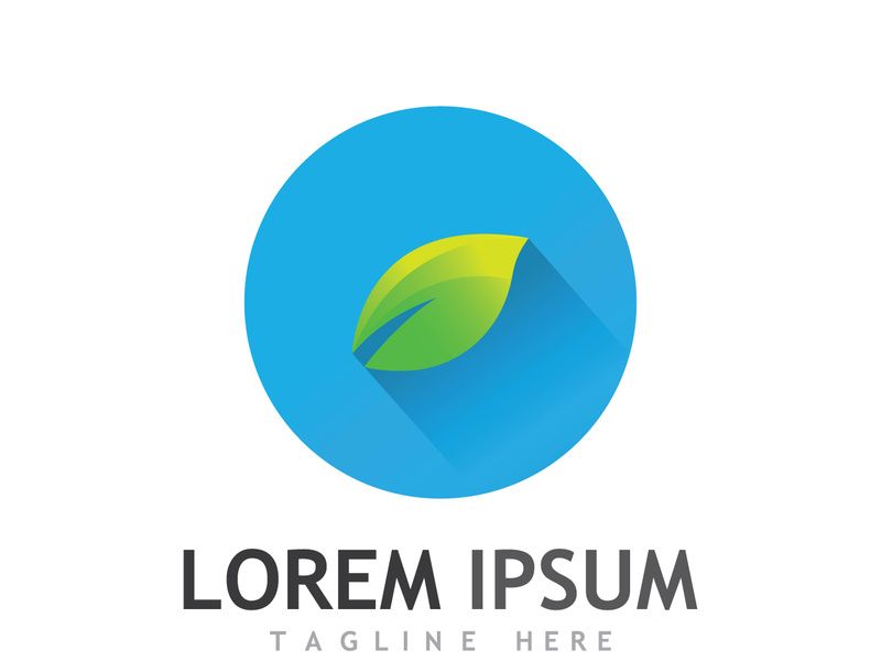 Colorful natural leaf logo design.