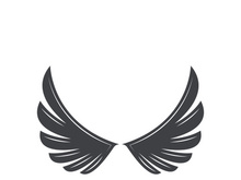 Falcon logo template vector illustration design