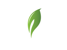 Green leaf logo  Nature icon design