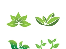 Logos of green tree leaf ecology nature element vector