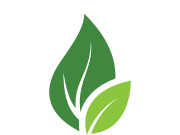 Leaf logo