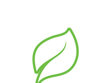 leaf logo green ecology nature element vector image