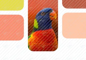 Color Palette Generator Mobile App
