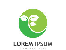 Natural green leaf logo design.