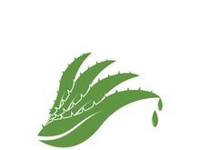 Aloe Vera logo icon design symbol beauty skin care
