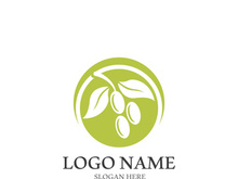 olive icon vector illustration design template