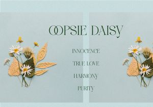 FLOWRISE || Display Ligature Serif