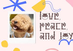 Cute Dog