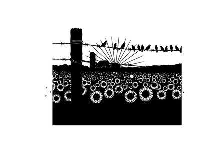 Silhouette of birds on barbed wire fence in sunflower field
