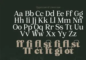 Mount Sagilite – Modern Serif Family Typeface with Variable Font
