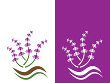 Fresh lavender flower logo vector flat design