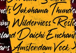 Austhind - Stylish Brush Font