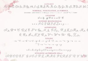 Meillyne Script Font