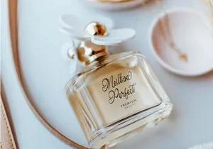 Hauliot Roisy | Handwritten Romantic Font