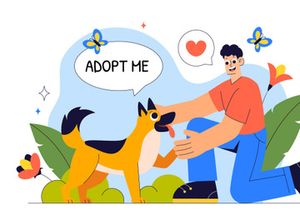 10 Pet Adoption Agency Illustration