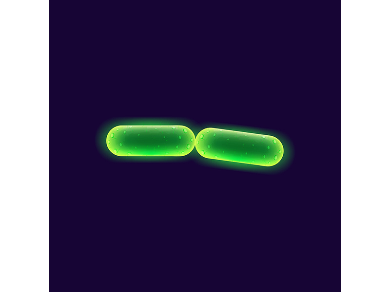 Bacteria cell realistic vector illustration
