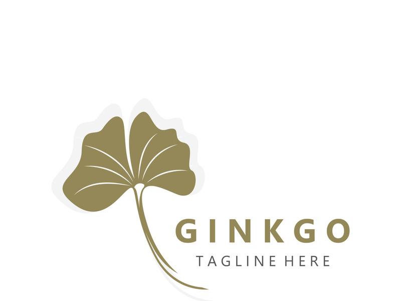 Ginkgo leaf biloba logo nature. Healthy ingredient that is used in medicine for disease treatment with line art style design