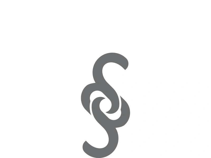 Business corporate S letter logo design vector