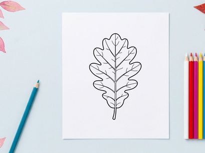 Close-up de uma folha de carvalho com veias detalhadas. Ilustração botânica natural para projetos de design ecológico, natureza ou plantas.