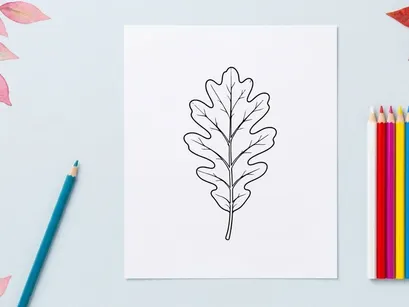 Nahaufnahme eines Eichenblatts mit detaillierter Textur. Natürliches botanisches Element für Öko-, Natur- oder Umweltthemen.