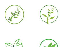 Olive fruit logo design.