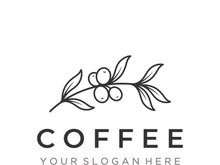 Coffee bean logo design with retro outline.