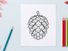 Close-up of a pine cone. Natural botanical detail for nature and outdoor themes.