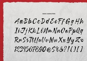 Curiousity Reuis | Handwritten Script