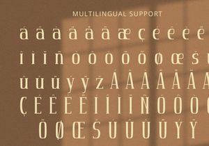 Avenue - Serif Font