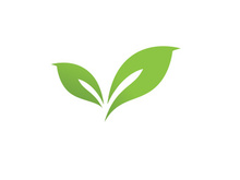 Green leaf logo  Nature icon design