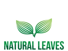 Leaf logo
