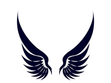 Wings logo