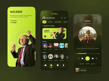 MusicSounder v1.0 - Music Sharing Platform preview picture