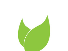 Leaf logo vector icon design template