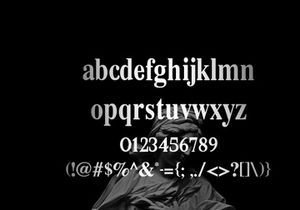 MAGNE - BOLD SERIF FONT