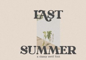 Sunne Fluent - A Classy Modern Serif Font