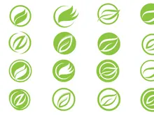 Leaf Green logo Vector