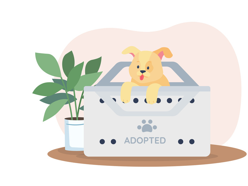 Dog in box for adoption from shelter 2D vector web banner, poster