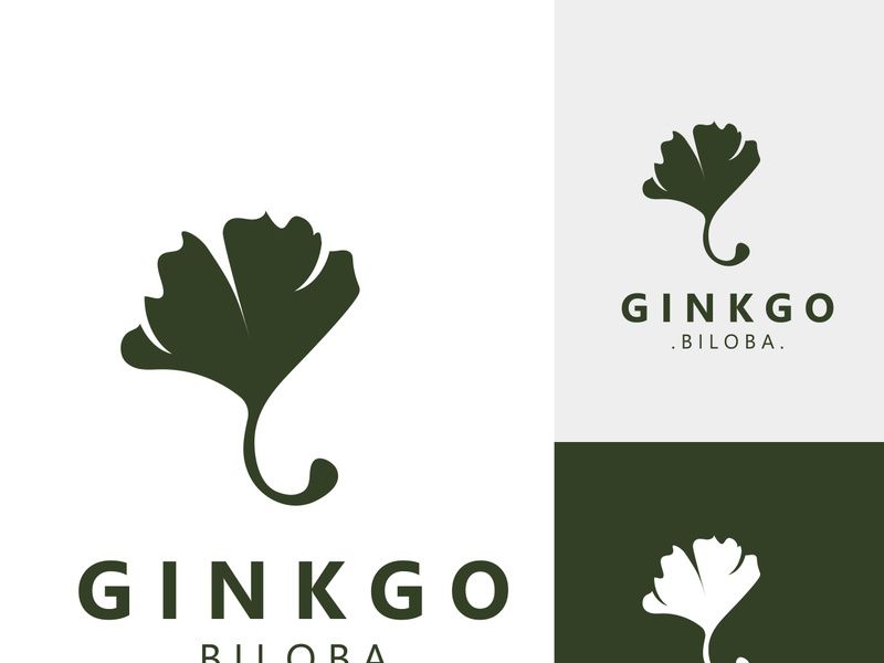 Ginkgo biloba leaf logo. can be used for herbal health products modern style logo design template