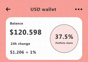USD Wallet UI