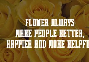 Summer Flower - Vintage Slab Serif