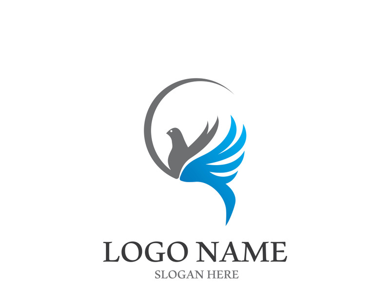 Dove bird logo vector design illustration