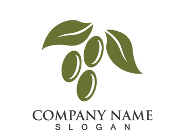Extra virgin olive oil logo icon design vector illustration preview picture